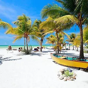 https://apt-balam-holbox.quintano-roohotels.com